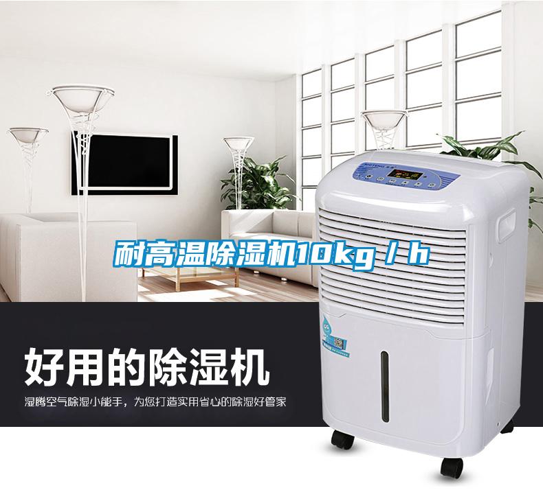 耐高温除湿机10kg／h