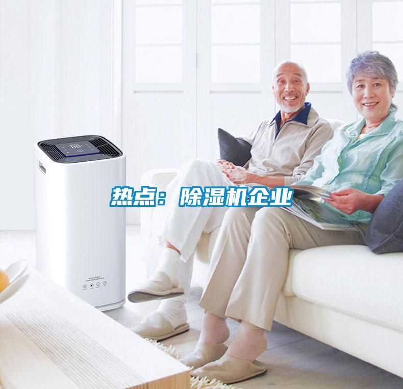热点：除湿机企业