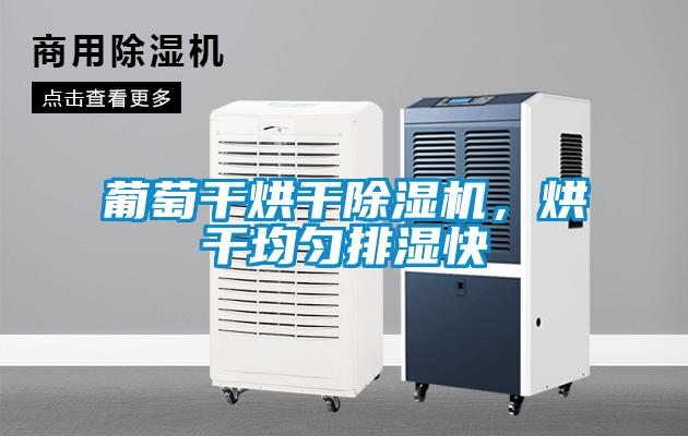 葡萄干烘干除湿机，烘干均匀排湿快