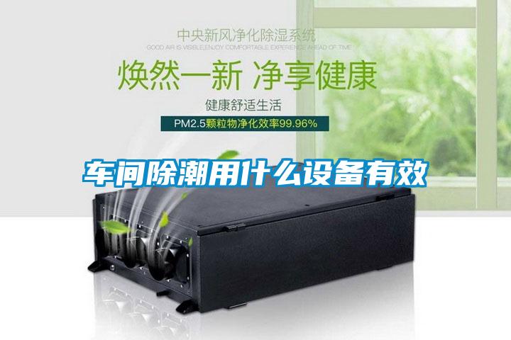车间除潮用什么设备有效