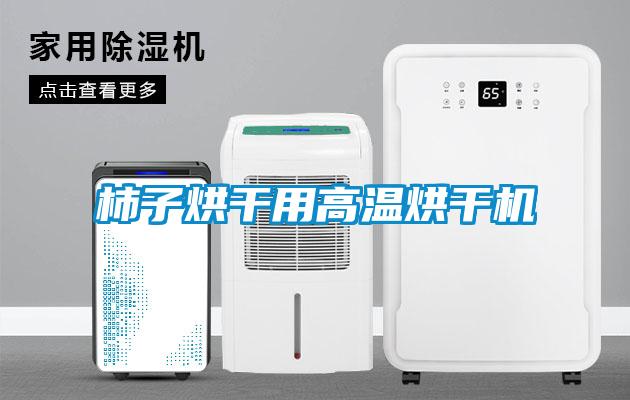 柿子烘干用高温烘干机
