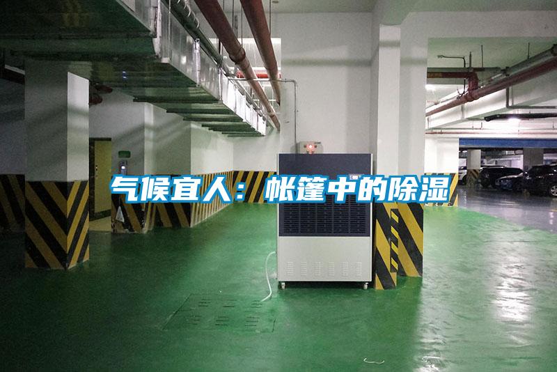 气候宜人:帐篷中的除湿