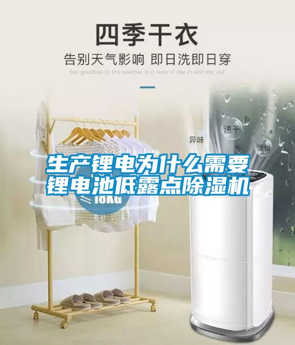 生产锂电为什么需要锂电池低露点除湿机
