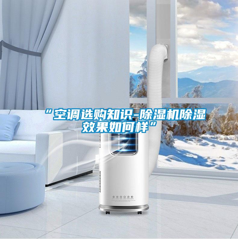 “空调选购知识-除湿机除湿效果如何样”