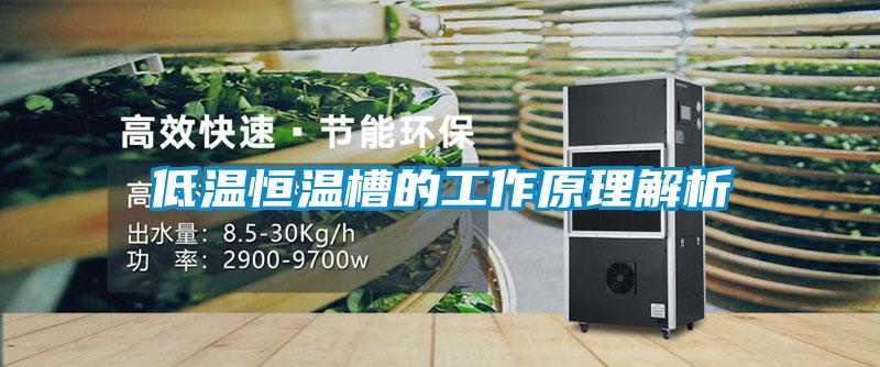 低温恒温槽的工作原理解析
