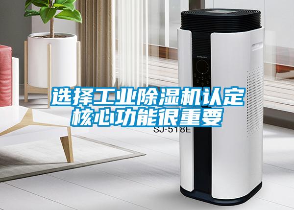 选择工业除湿机认定核心功能很重要