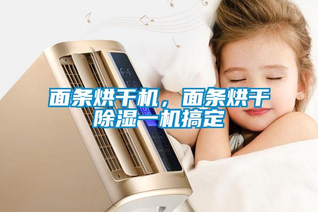 面条烘干机，面条烘干除湿一机搞定