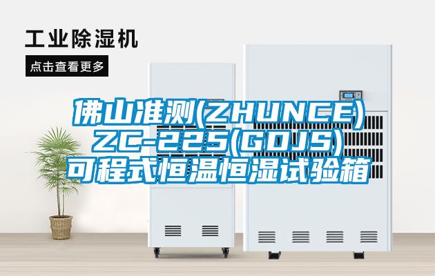佛山准测(ZHUNCE) ZC-225(GDJS) 可程式恒温恒湿试验箱