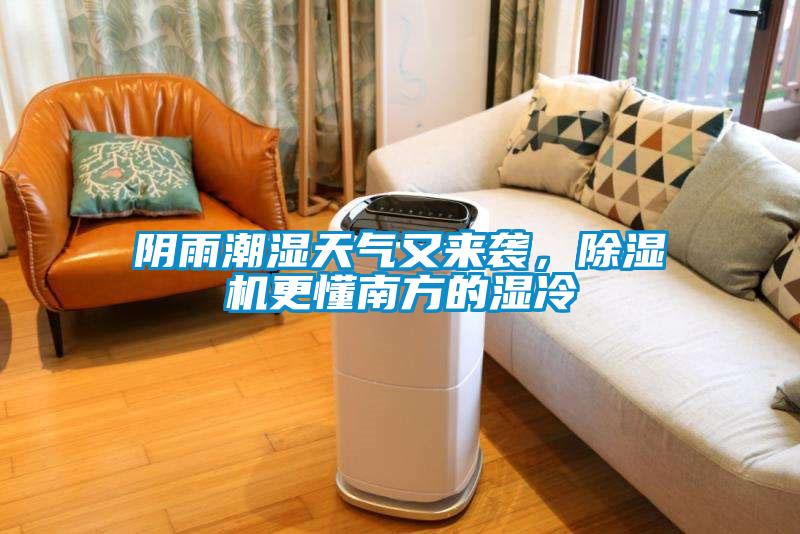阴雨潮湿天气又来袭，除湿机更懂南方的湿冷