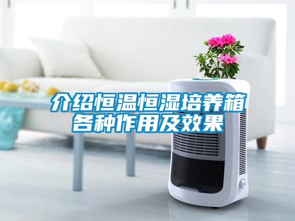 介绍恒温恒湿培养箱各种作用及效果