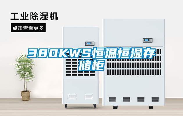 380KWS恒温恒湿存储柜