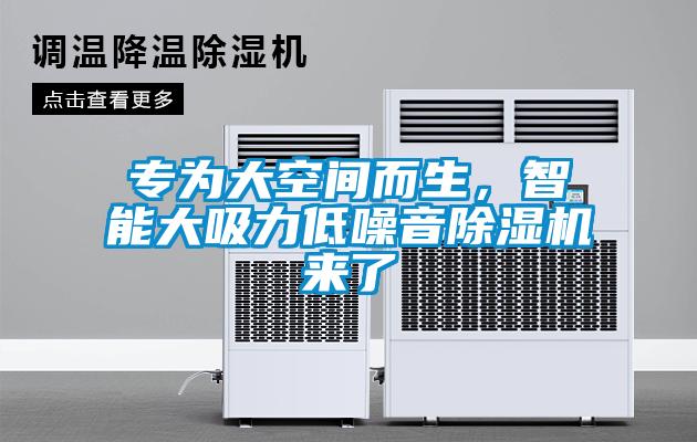 专为大空间而生，智能大吸力低噪音除湿机来了