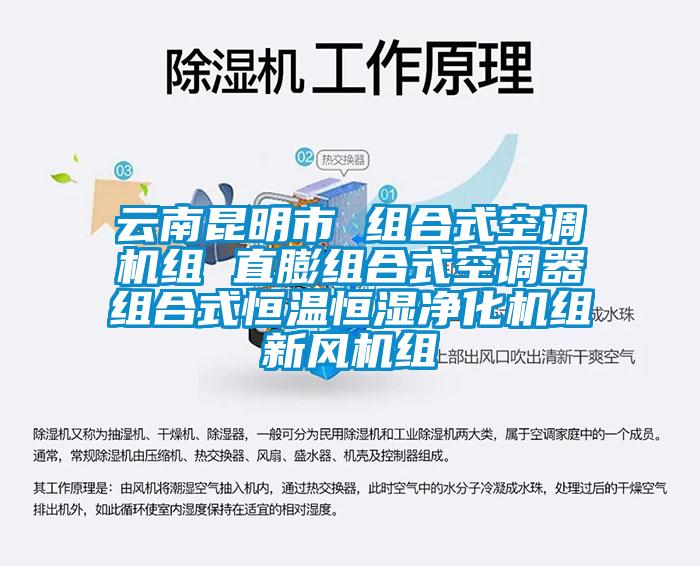 云南昆明市 组合式空调机组 直膨组合式空调器组合式恒温恒湿净化机组新风机组