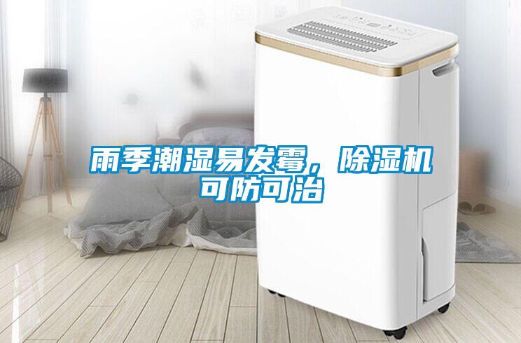 雨季潮湿易发霉，除湿机可防可治