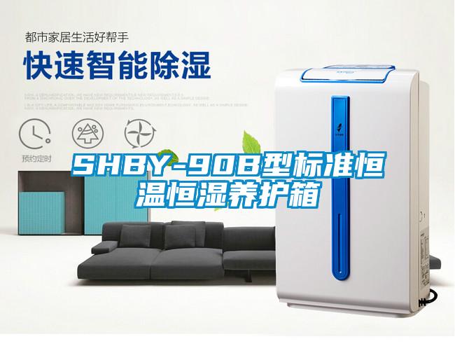 SHBY-90B型标准恒温恒湿养护箱