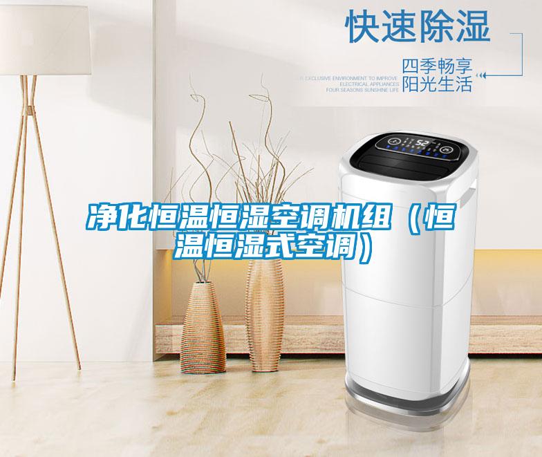 净化恒温恒湿空调机组（恒温恒湿式空调）