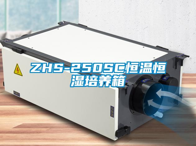 ZHS-250SC恒温恒湿培养箱