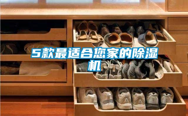 5款最适合您家的除湿机