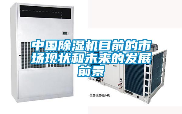中国除湿机目前的市场现状和未来的发展前景