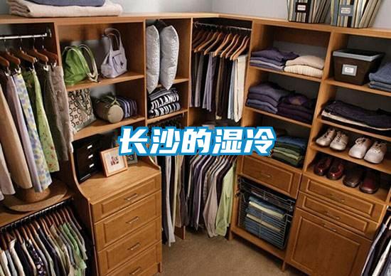 长沙的湿冷