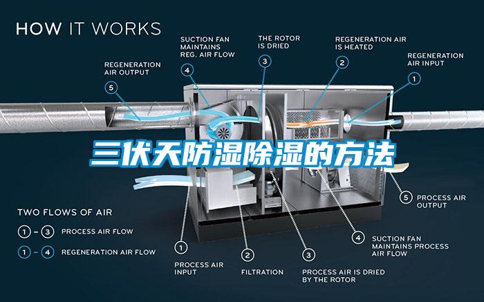 三伏天防湿除湿的方法