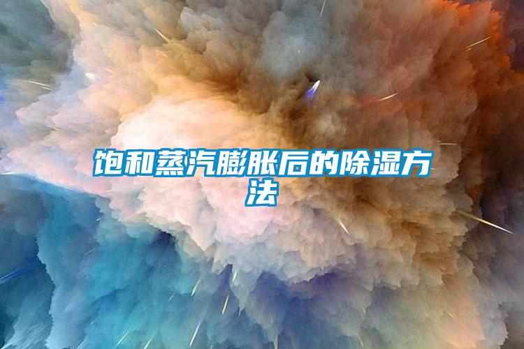 饱和蒸汽膨胀后的除湿方法