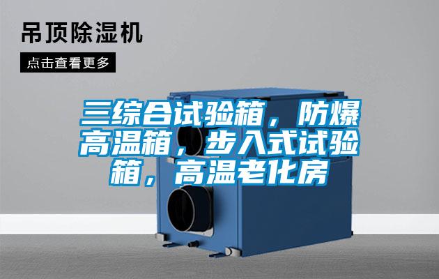三综合试验箱，防爆高温箱，步入式试验箱，高温老化房