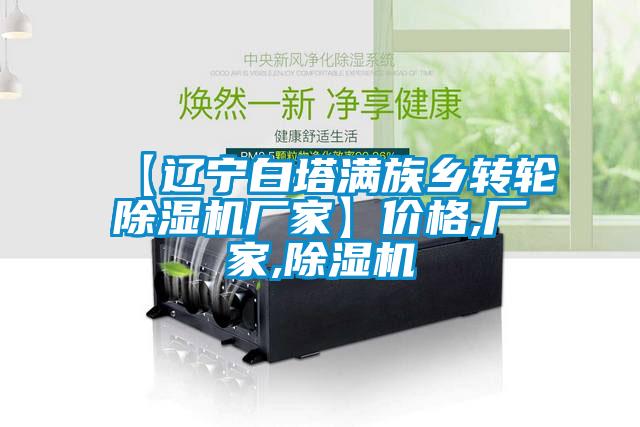 【辽宁白塔满族乡转轮除湿机厂家】价格,厂家,除湿机