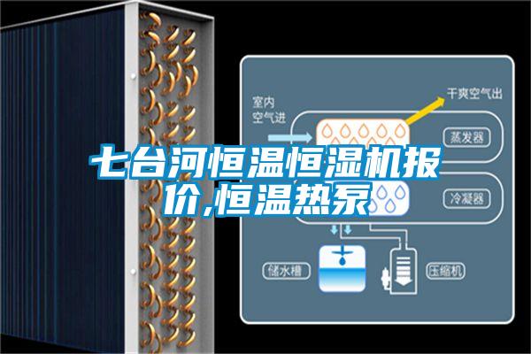 七台河恒温恒湿机报价,恒温热泵