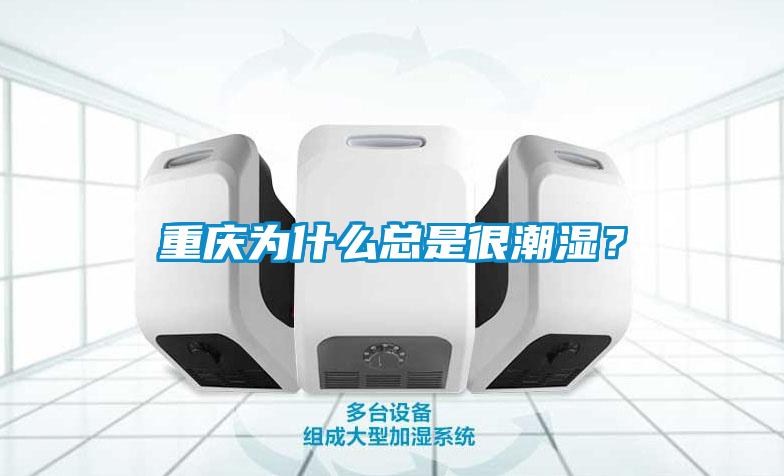 重庆为什么总是很潮湿？