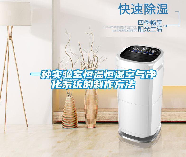 一种实验室恒温恒湿空气净化系统的制作方法