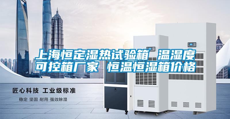 上海恒定湿热试验箱 温湿度可控箱厂家 恒温恒湿箱价格