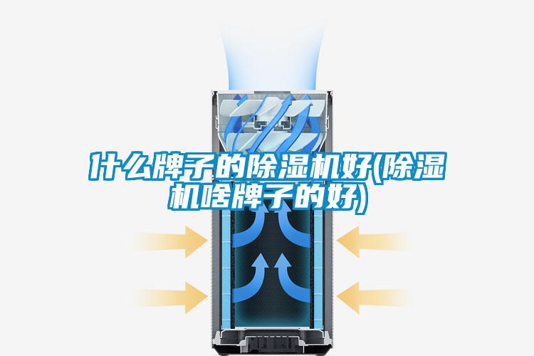 什么牌子的除湿机好(除湿机啥牌子的好)