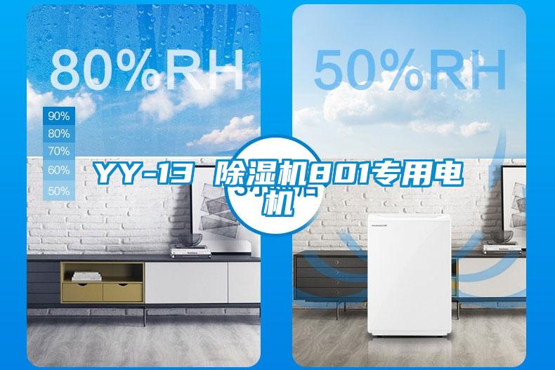 YY-13 除湿机801专用电机