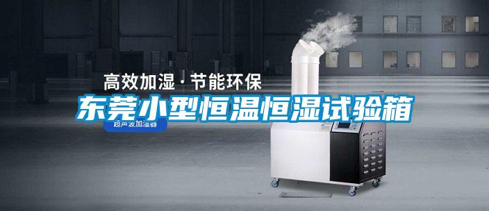 东莞小型恒温恒湿试验箱