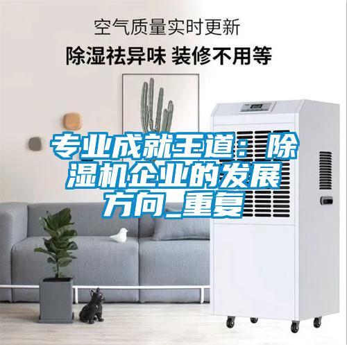 专业成就王道：除湿机企业的发展方向_重复