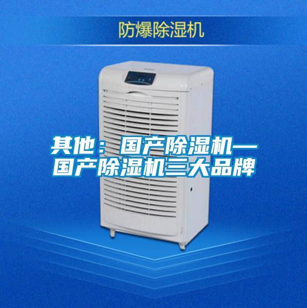 其他：国产除湿机—国产除湿机三大品牌