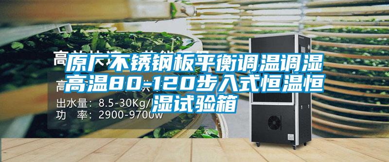 原厂不锈钢板平衡调温调湿高温80-120步入式恒温恒湿试验箱