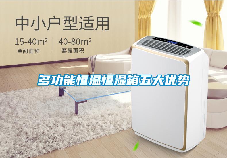 多功能恒温恒湿箱五大优势