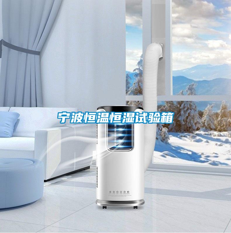 宁波恒温恒湿试验箱