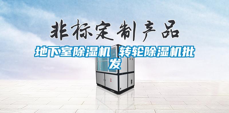 地下室除湿机 转轮除湿机批发