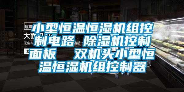 小型恒温恒湿机组控制电路 除湿机控制面板  双机头小型恒温恒湿机组控制器
