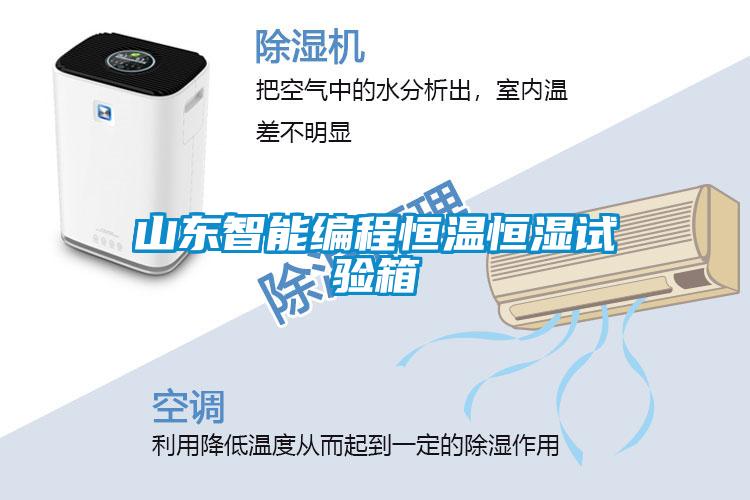 山东智能编程恒温恒湿试验箱
