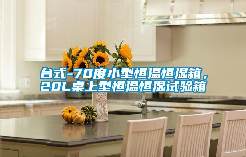 台式-70度小型恒温恒湿箱，20L桌上型恒温恒湿试验箱