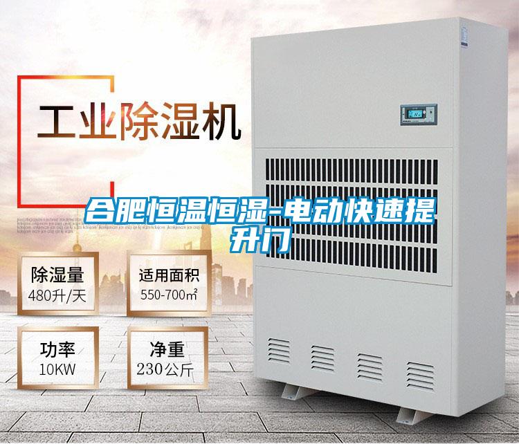 合肥恒温恒湿-电动快速提升门