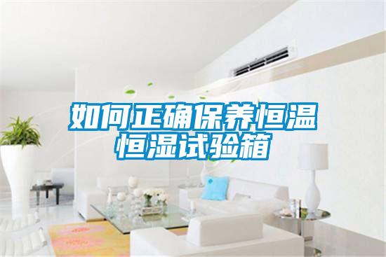 如何正确保养恒温恒湿试验箱