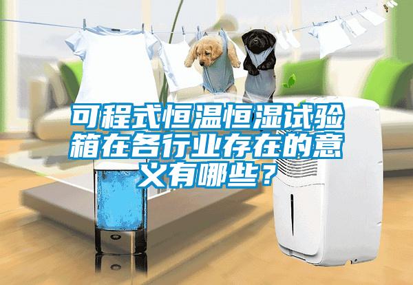 可程式恒温恒湿试验箱在各行业存在的意义有哪些？