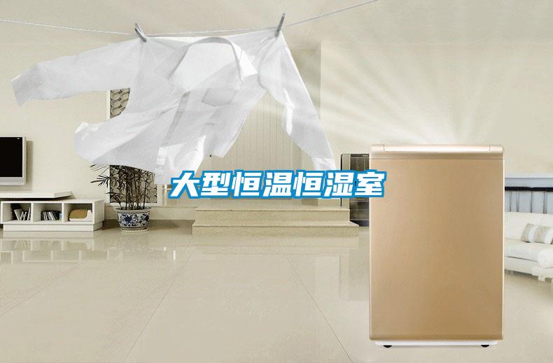 大型恒温恒湿室
