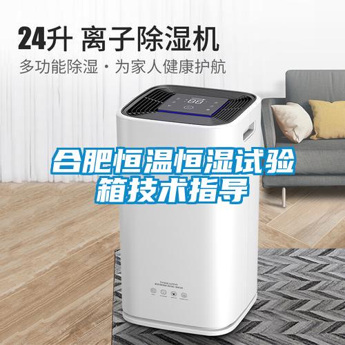 合肥恒温恒湿试验箱技术指导