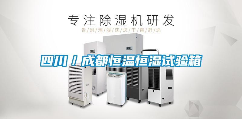 四川／成都恒温恒湿试验箱